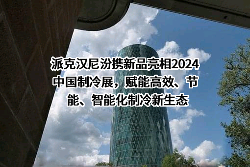 派克汉尼汾公司