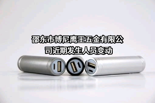 邵东市博尼鹰王五金有限公司