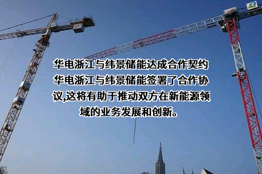华电（浙江）新能源有限公司
