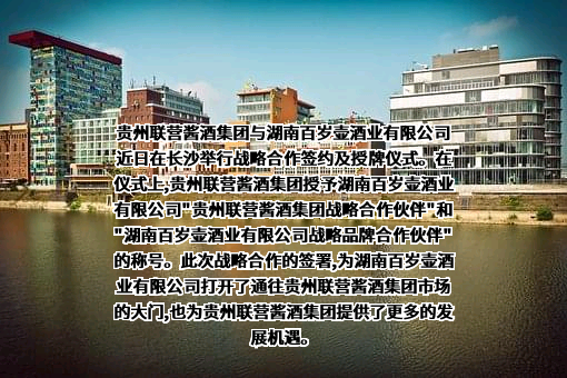 湖南百岁壶酒业有限公司