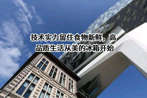 合肥华凌股份有限公司