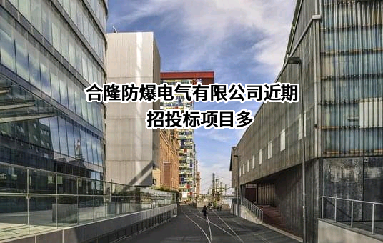 合隆防爆电气有限公司