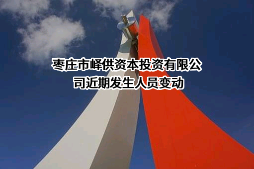 枣庄市峄供资本投资有限公司