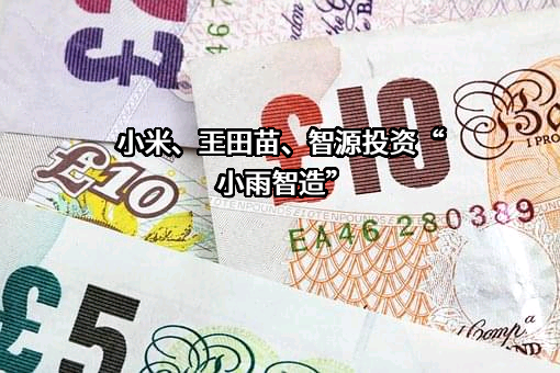 小米科技有限责任公司