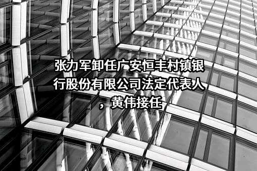 广安恒丰村镇银行股份有限公司