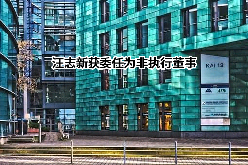 中国西部水泥有限公司