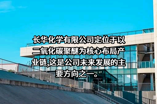 长华化学科技股份有限公司