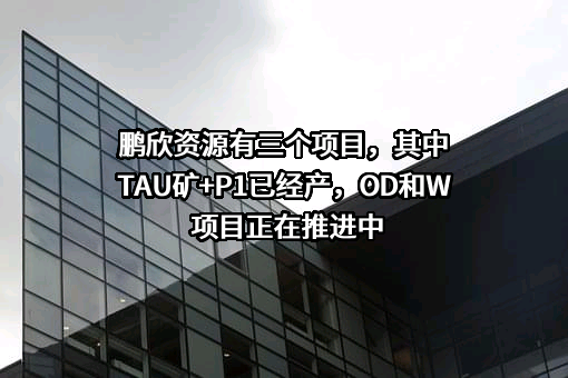 鹏欣环球资源股份有限公司