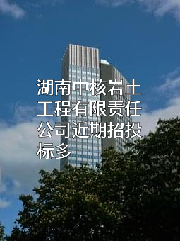 湖南中核岩土工程有限责任公司