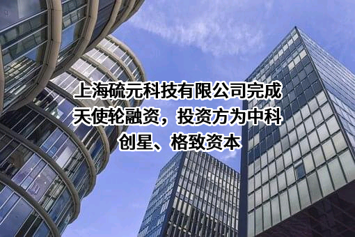 上海硫元科技有限公司