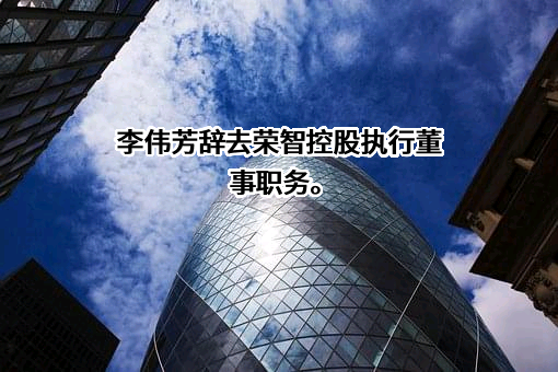 荣智控股有限公司