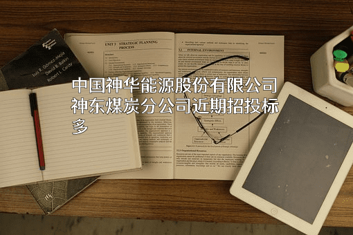 中国神华能源股份有限公司神东煤炭分公司
