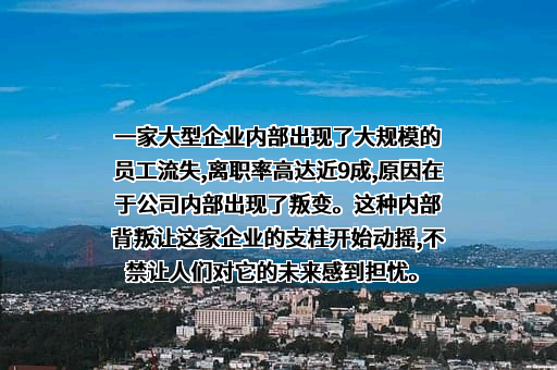 国美电器控股有限公司