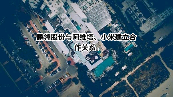 天津鹏翎集团股份有限公司