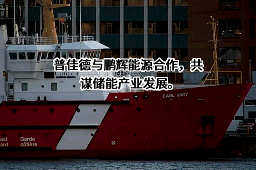 湖南普佳德新能源科技有限公司