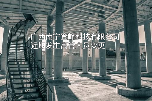 广西南宁登峰科技有限公司