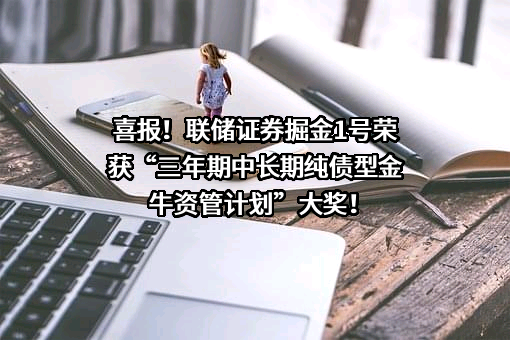 联储证券有限责任公司