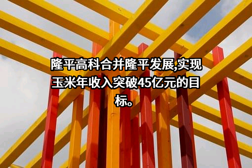 袁隆平农业高科技股份有限公司