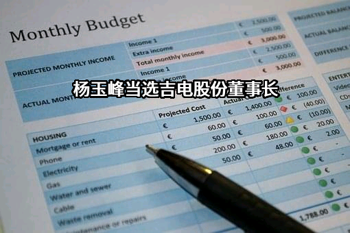 吉林电力股份有限公司