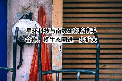 星环信息科技（上海）股份有限公司