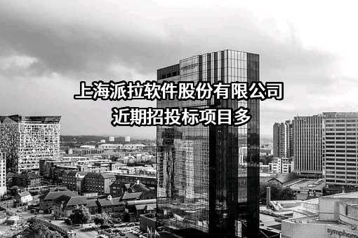 上海派拉软件股份有限公司近期招投标项目多