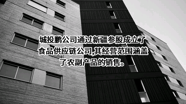 克拉玛依市城投鹏基物业股份有限公司
