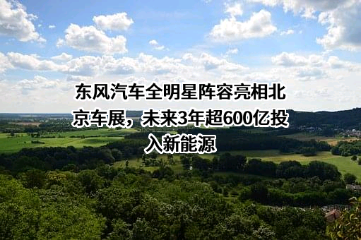 东风汽车股份有限公司