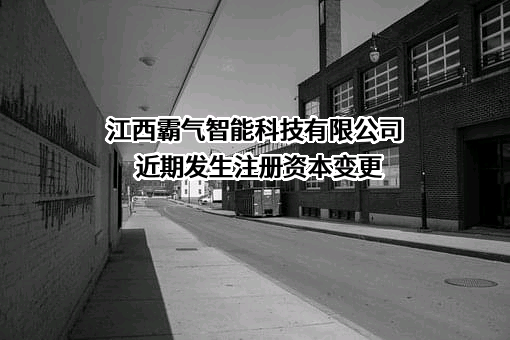 江西霸气智能科技有限公司
