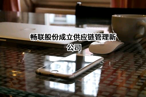 上海畅联国际物流股份有限公司