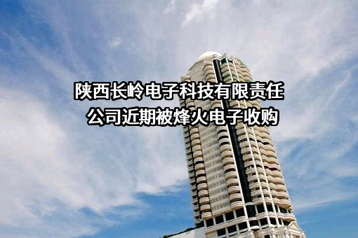 陕西长岭电子科技有限责任公司
