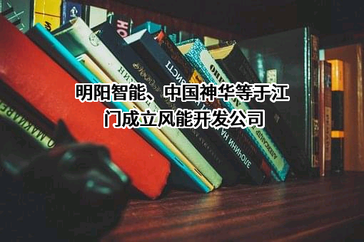 中国神华能源股份有限公司