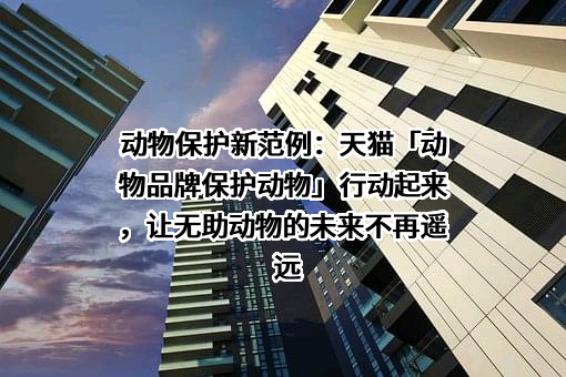 浙江天猫技术有限公司