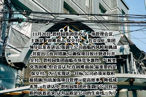 碧桂园控股有限公司