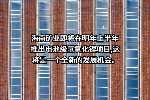 海南矿业股份有限公司