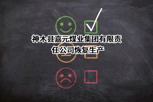 神木县嘉元煤业集团有限责任公司