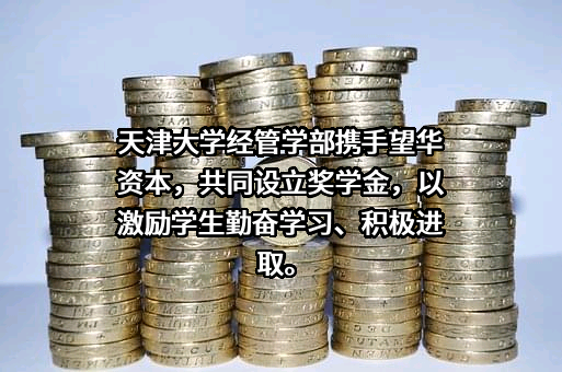 北京望华联合投资咨询有限公司
