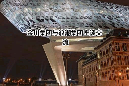 浪潮集团有限公司