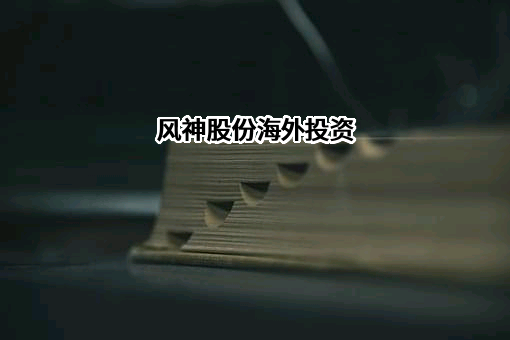 风神轮胎股份有限公司