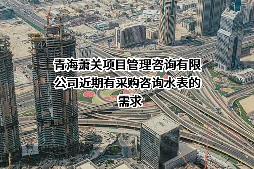 青海萧关项目管理咨询有限公司近期有采购咨询水表的需求