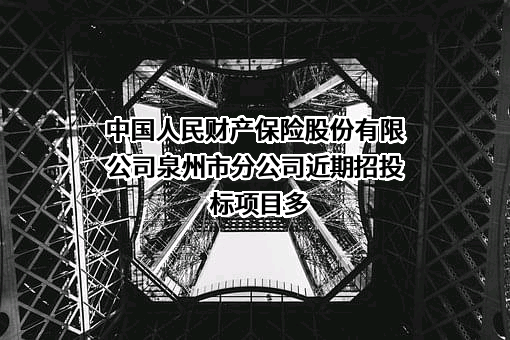 中国人民财产保险股份有限公司泉州市分公司近期招投标项目多