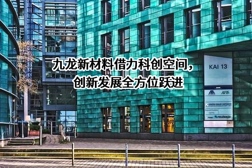 山东九龙新材料有限公司