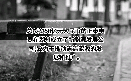 浙江正泰电器股份有限公司