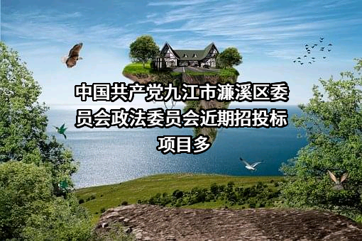 中国共产党九江市濂溪区委员会政法委员会近期招投标项目多