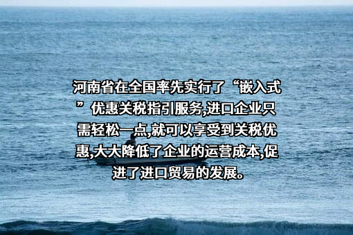 河南电子口岸有限公司