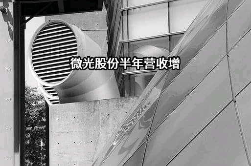 杭州微光电子股份有限公司