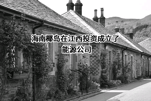 海南椰岛（集团）股份有限公司