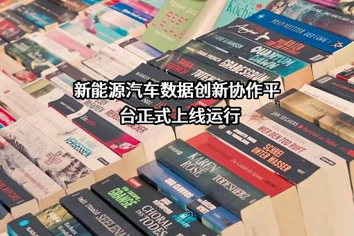 海南省新能源汽车促进中心