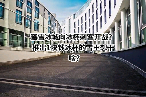蜜雪冰城股份有限公司