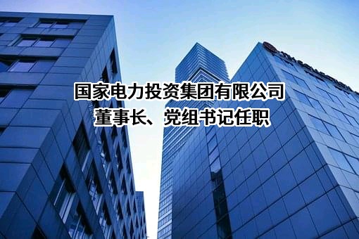 国家电力投资集团有限公司