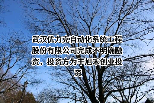武汉优力克自动化系统工程股份有限公司